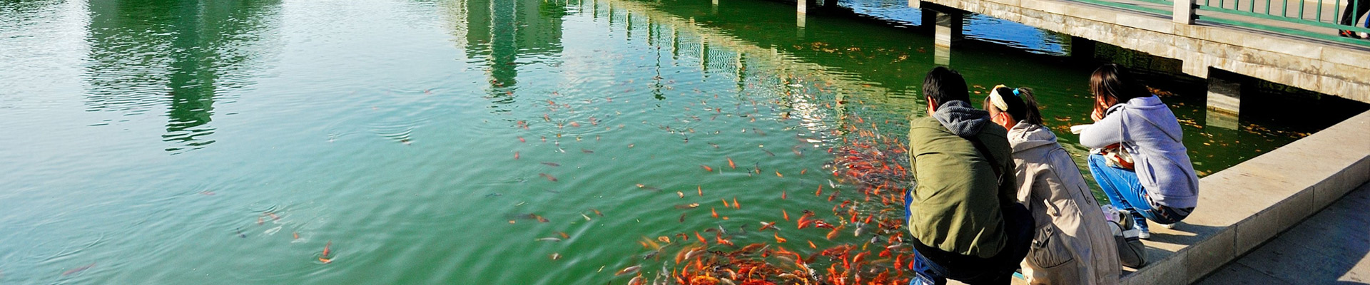 江南·体育官网